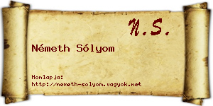 Németh Sólyom névjegykártya